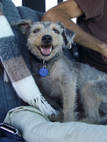 [9 G on the road.[2].jpg]